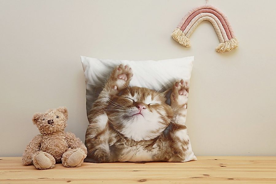 queence Dekokissen Katzenbaby, Kissenhülle mit HD Premium Druck, geruchsneu günstig online kaufen
