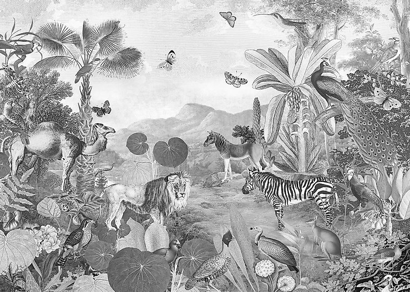 Komar Vliestapete »Digitaldruck Vlies - Flora and Fauna - Größe 350 x 250 c günstig online kaufen