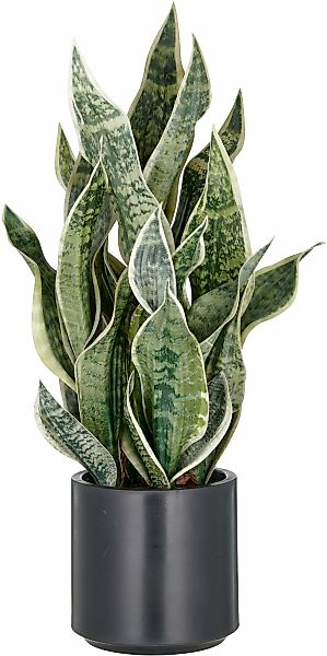 Creativ green Kunstpflanze, im eleganten Pflanzgefäß günstig online kaufen