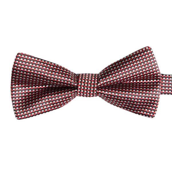 GASSANI Fliege Hochzeitsfliege Karo Tuch Festlich, günstig online kaufen