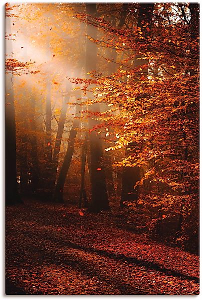 Artland "Sonnenaufgang im Herbst" Wald 1 Stk. tlg. als Leinwandbild, Poster günstig online kaufen