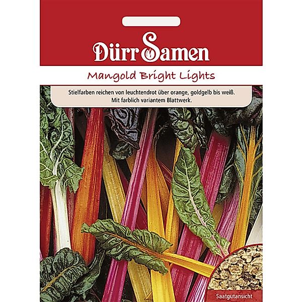 Dürr Samen Mangold Bright Lights Saatgut günstig online kaufen
