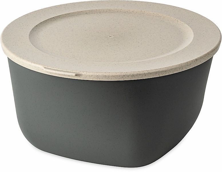 KOZIOL Aufbewahrungsschüssel "CONNECT BOX 4" 1 Stk. tlg. spülmaschinengeeig günstig online kaufen