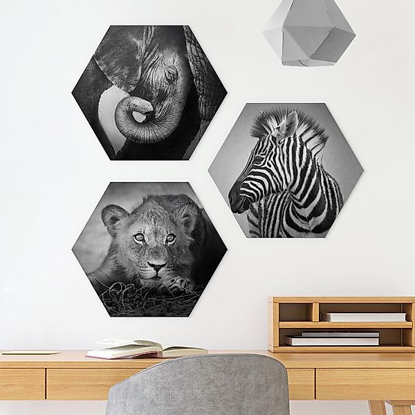 3-teiliges Hexagon-Alu-Dibond Bild Babytiere günstig online kaufen