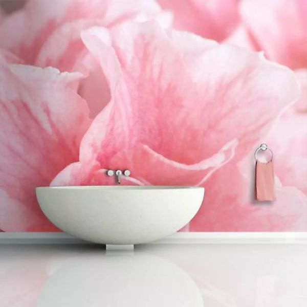 artgeist Fototapete Pinke Blüte der Azalee rosa Gr. 400 x 309 günstig online kaufen