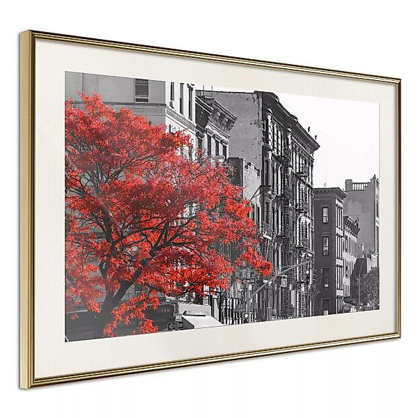 Poster - Autumn Colours Ii günstig online kaufen