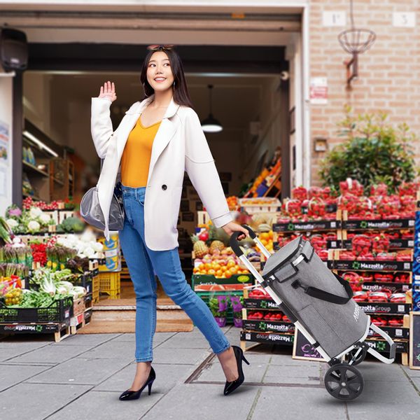 Arebos Einkaufstrolley 3-in-1 mit Kühlfach, klappbar günstig online kaufen
