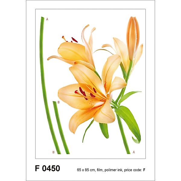 Sanders & Sanders Wandtattoo Blumen Orange und Grün 65 x 85 cm 600256 günstig online kaufen
