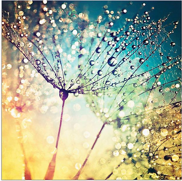 Artland Wandbild Pusteblume Zaubertropfen, Blumen (1 günstig online kaufen