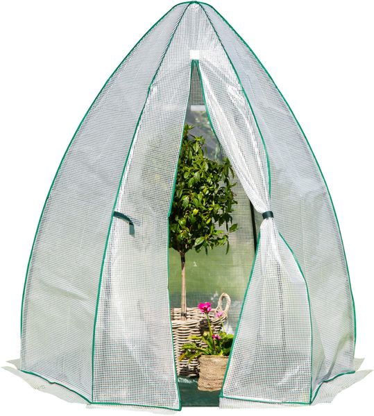 50NRTH Foliengewächshaus Olive, BxTxH: 160 x günstig online kaufen