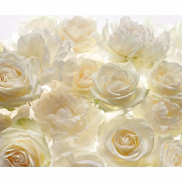Komar Fototapete Vlies Shalimar  300 x 250 cm günstig online kaufen