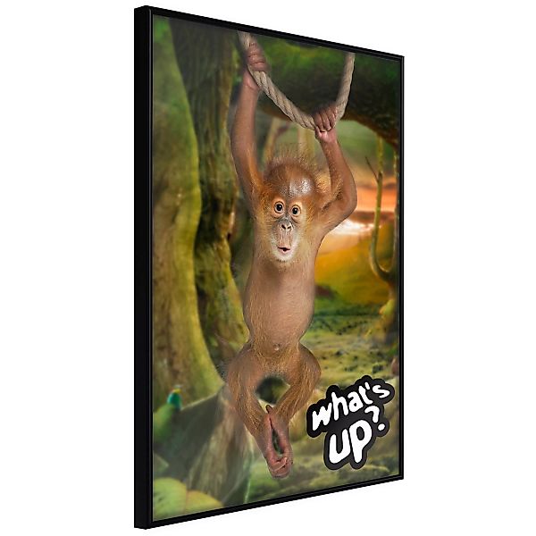 Poster - Life In The Jungle günstig online kaufen