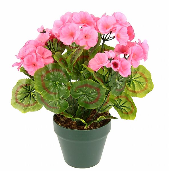 I.GE.A. Kunstpflanze "Künstliche Geranie im Topf" Geranienbusch Seidenblume günstig online kaufen