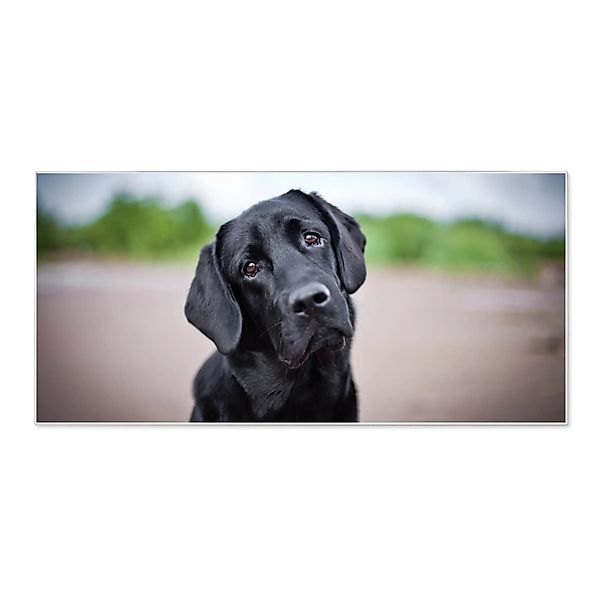 Banjado Magnettafel 78x37cm Magnetwand  Weiß Aus Metall Magnetpinnwand Pinn günstig online kaufen