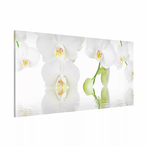 Magnettafel - Querformat 2:1 Orchideen Wellness Orchidee günstig online kaufen