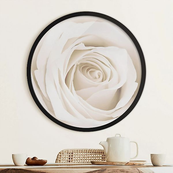 Rundes Bild mit Rahmen Pretty White Rose günstig online kaufen