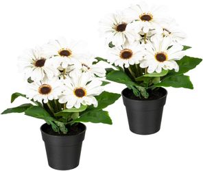 my home Kunstpflanze "Elaine" im Topf, 2er Set günstig online kaufen