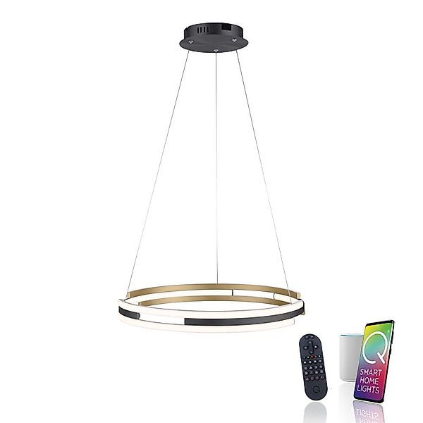 Q-Smart LED Pendelleuchte Q-Beluga in Messing-matt 6x 9,16W 6900lm günstig online kaufen
