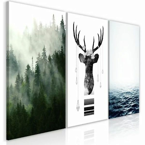 artgeist Wandbild Chilly Nature (Collection) mehrfarbig Gr. 60 x 30 günstig online kaufen