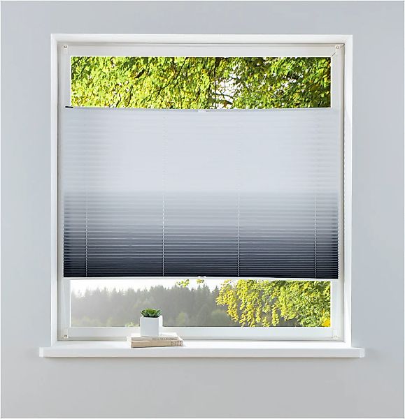 my home Plissee "Ombré" Lichtschutz ohne Bohren verspannt Fixmaß, Farbverla günstig online kaufen