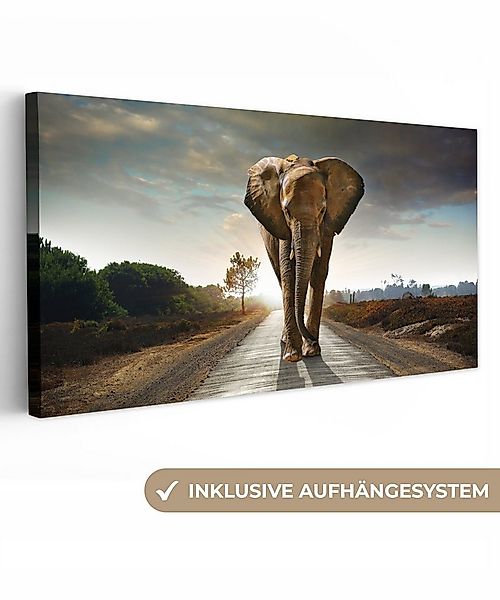 OneMillionCanvasses® Leinwandbild Panorama Elefant - Straße - Tiere - Sonne günstig online kaufen
