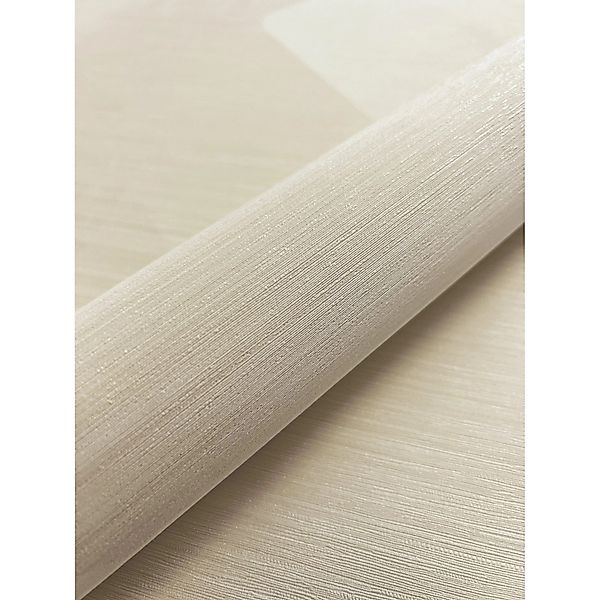 Newroom Vliestapete Donato Beige Grafik Modern Strukturiert FSC® günstig online kaufen