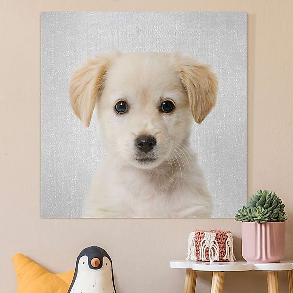 Leinwandbild Baby Golden Retriever Gizmo günstig online kaufen