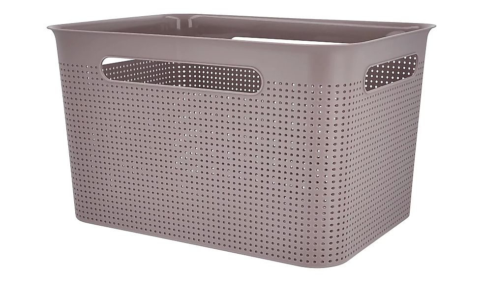 Rotho Aufbewahrungsbox - lila/violett - Kunststoff - 36 cm - 21 cm - 26 cm günstig online kaufen