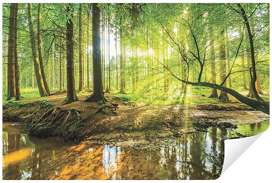 Wallarena Fototapete Wald Grün Natur 3D EFFEKT Landschaft Wohnzimmer Schlaf günstig online kaufen