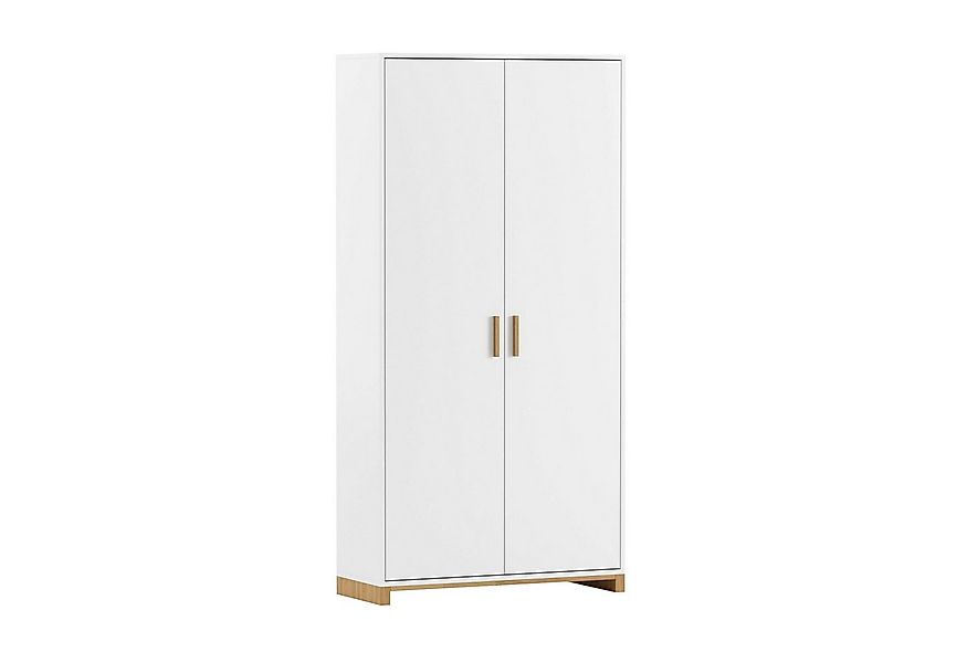 Deerhorn Aktenschrank Moderner Schrank, 2 Türen, Soft-Close Breite: 100 cm, günstig online kaufen