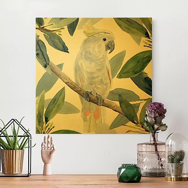 Leinwandbild Gold Tropischer Kakadu II günstig online kaufen