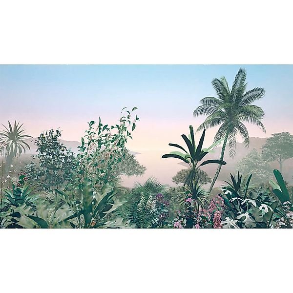 Komar Fototapete Vlies Matin  500 x 280 cm günstig online kaufen