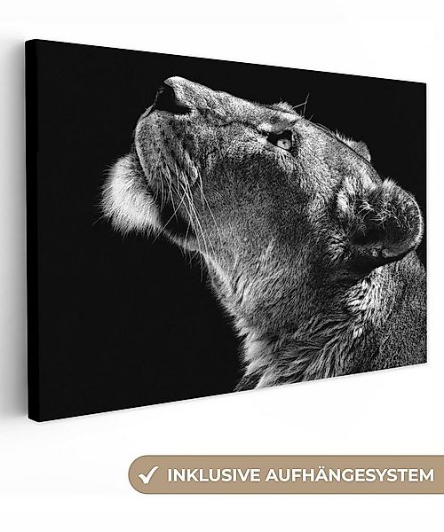 OneMillionCanvasses® Leinwandbild Löwe - Tiere - Schwarz und weiß, Fotodruc günstig online kaufen