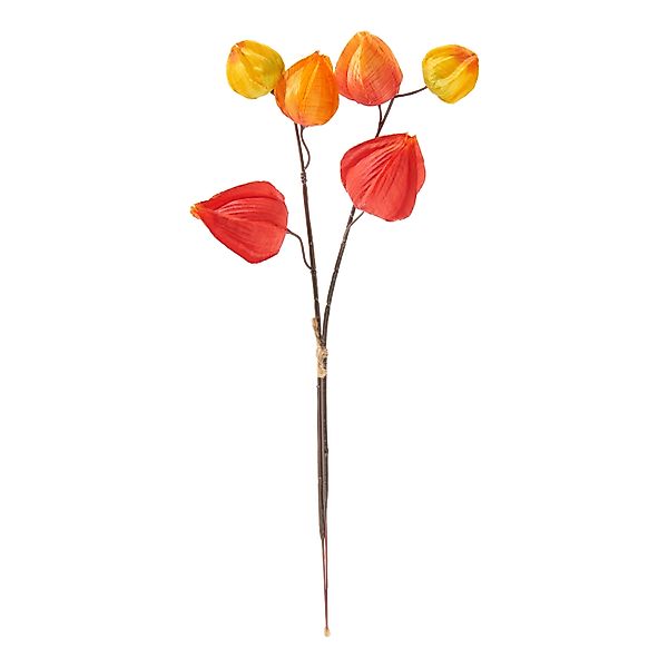 Kunstzweig Physalis Zweig, DPI, 6 Lampionblüten, günstig online kaufen