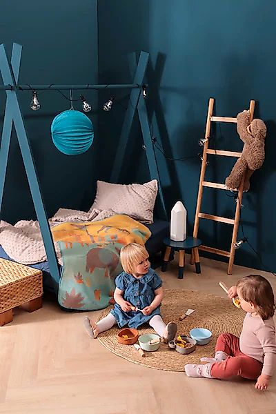 Biederlack Babydecke »Babydecke Expedition«, Babydecke Expedition mit unter günstig online kaufen