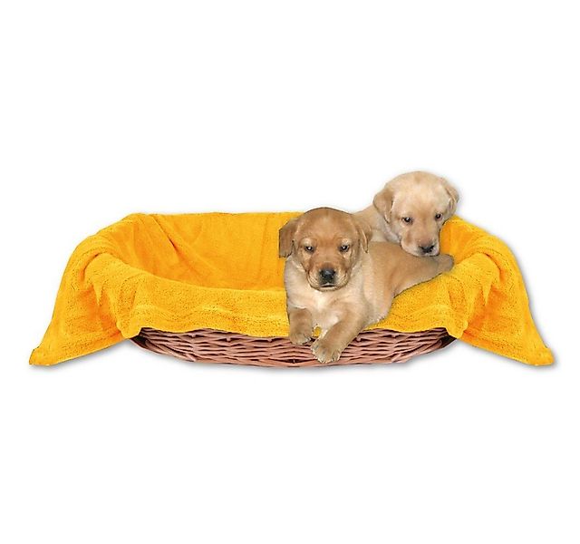 Bestlivings Tierdecke Hundedecke / Katzendecke, Kuscheldecke für Haustiere, günstig online kaufen