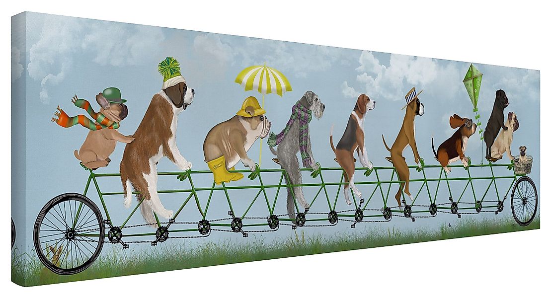Bilderdepot24 Leinwandbild Tiere Fahrrad Hunde Tandem günstig online kaufen
