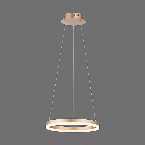 Paul Neuhaus LED-Hängelampe Titus, Ø 40 cm, messing, dimmbar günstig online kaufen