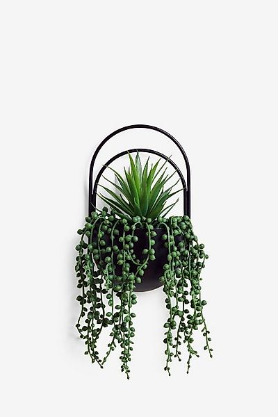 Künstliche Zimmerpflanze Bronx Kunstpflanze Wandtafel, Next günstig online kaufen