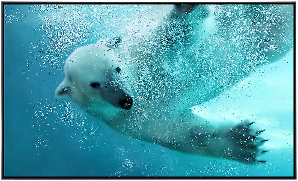 Papermoon Infrarotheizung »Eisbär unterwasser«, sehr angenehme Strahlungswä günstig online kaufen