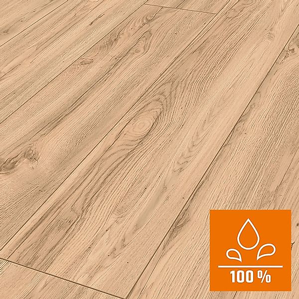Classen Grande XXL Laminat 8 mm Wasserfest Eiche Corfe Beige günstig online kaufen