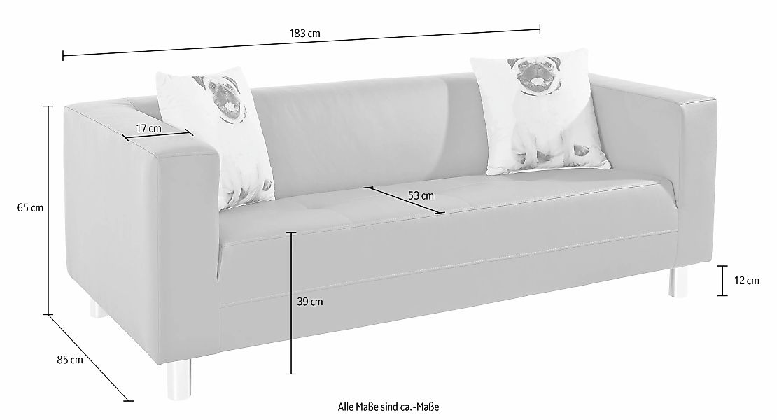 COLLECTION AB 3-Sitzer "Clip", mit 2 lustigen Hunde-Zierkissen, frei im Rau günstig online kaufen