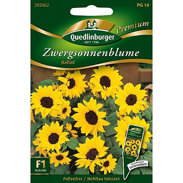 Quedlinburger Zwerg-Sonnenblumen Ballad Loses Saatgut günstig online kaufen