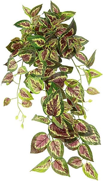 Kunstpflanze Buntnessel, I.GE.A., Höhe 80 cm, Kletterpflanze günstig online kaufen