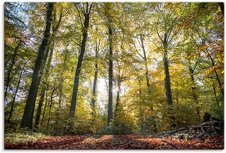 Artland Leinwandbild »Laubwald zum Herbst« Waldbilder 1 Stk. tlg. auf Keilr günstig online kaufen