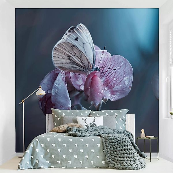 Fototapete Schmetterling im Regen günstig online kaufen