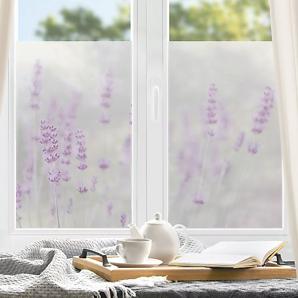 Fensterfolie Sommer im Lavendelfeld günstig online kaufen