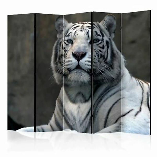artgeist Paravent Bengali tiger in zoo II [Room Dividers] grau/schwarz Gr. günstig online kaufen