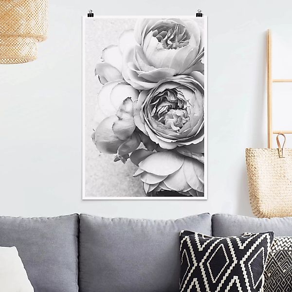 Poster Blumen - Hochformat Pfingstrosenblüten Schwarz Weiß günstig online kaufen