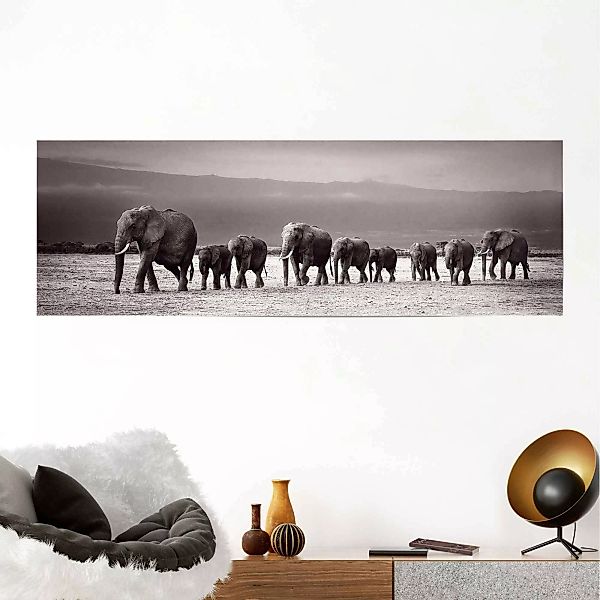 Reinders! Poster »Elefantenherde auf Reise«, (1 St.) günstig online kaufen